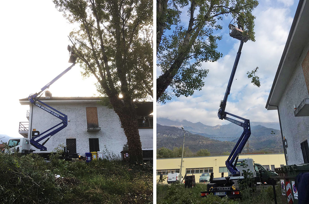 Tree climbing Pognante